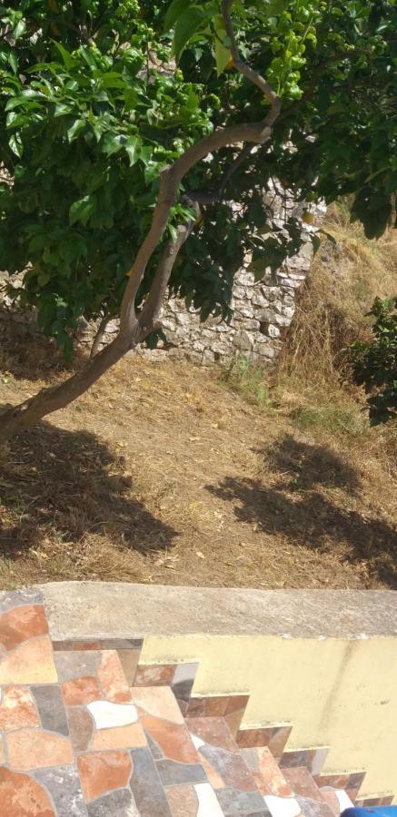 Holidays In Saranda 외부 사진